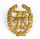 75th (Stirlingshire) Regiment pre-1881Other Ranks Glengarry badge
