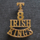 Shoulder Title - T8 Irish Kings
