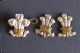 3rd Dragoons Officers Beret Badge and Collar Badges